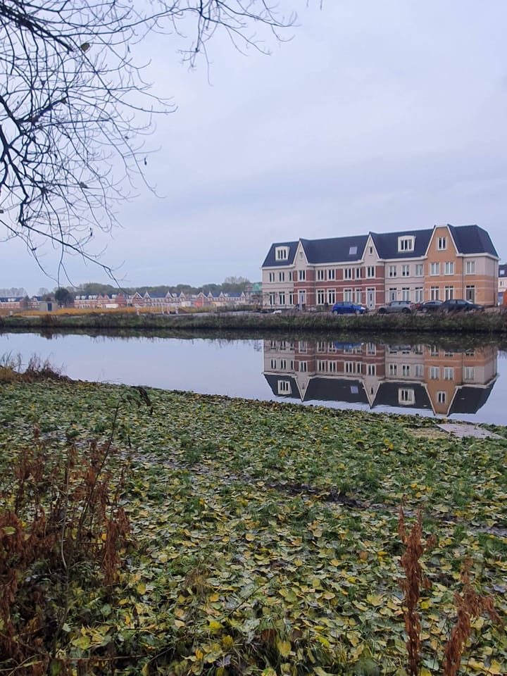 Foto 40 van Graafschap Hollandlaan 27