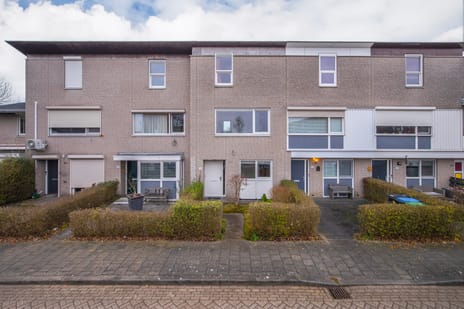 undefined main image