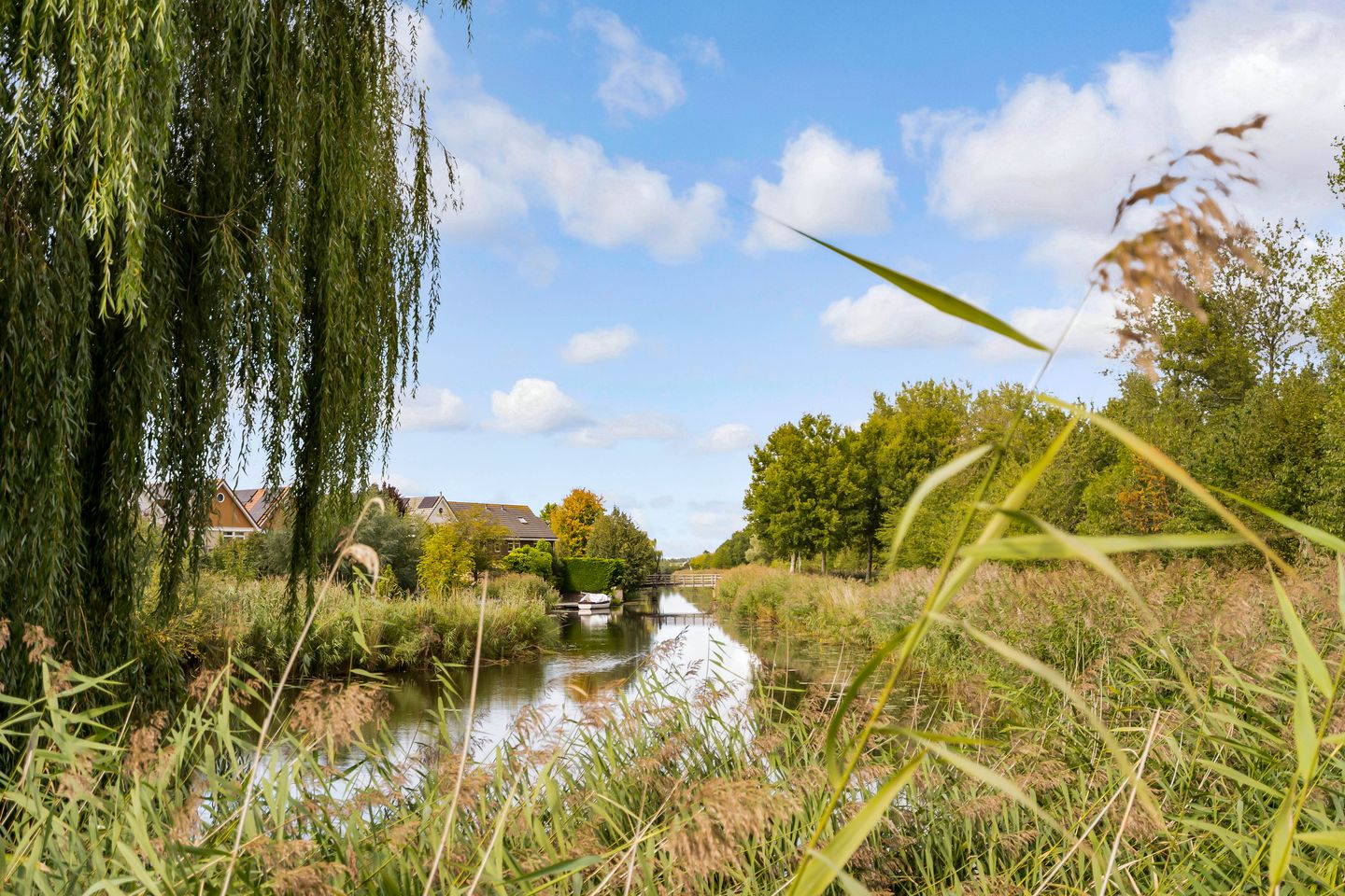 Foto 50 van Isla Margaritastraat 51