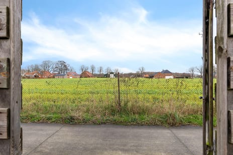 Hanne Bruininghstraat 91 secondary image