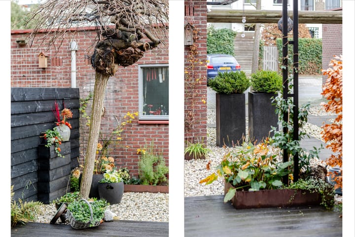 Foto 4 van Rustenburg 10