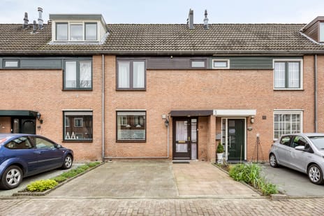 undefined main image