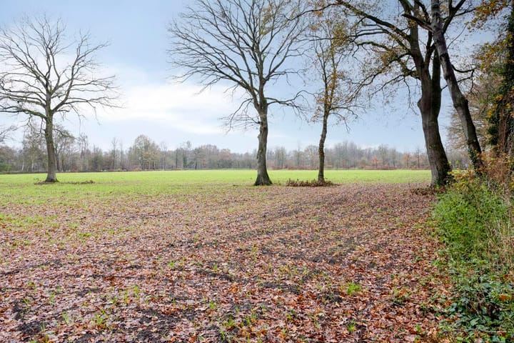 Foto 60 van Dr Richardstrasse 10