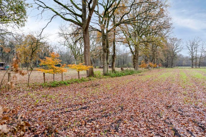 Foto 57 van Dr Richardstrasse 10