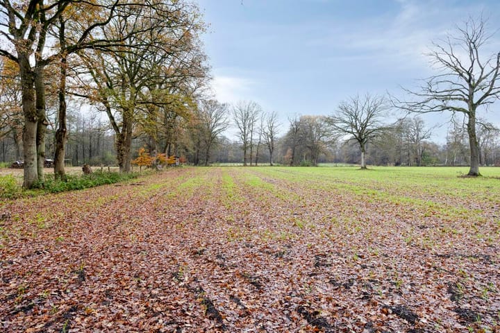 Foto 58 van Dr Richardstrasse 10