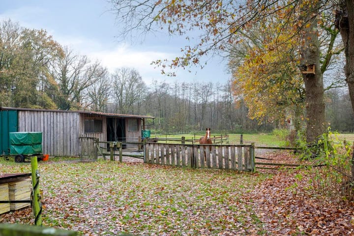 Foto 53 van Dr Richardstrasse 10