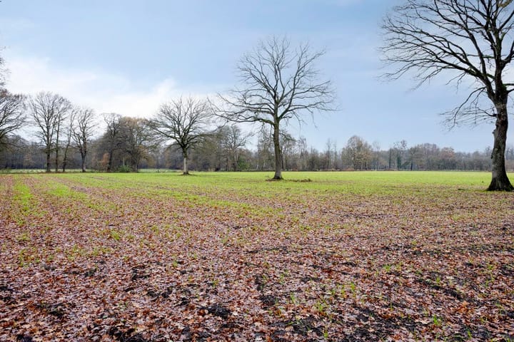 Foto 59 van Dr Richardstrasse 10