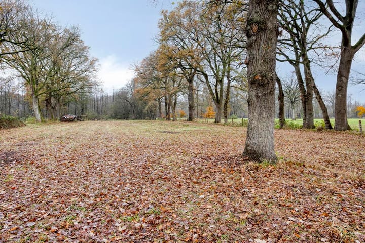 Foto 56 van Dr Richardstrasse 10