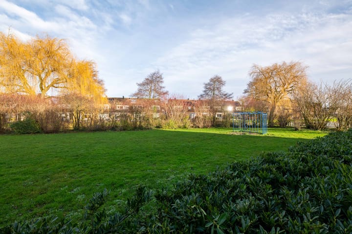 Foto 42 van Morelstraat 85