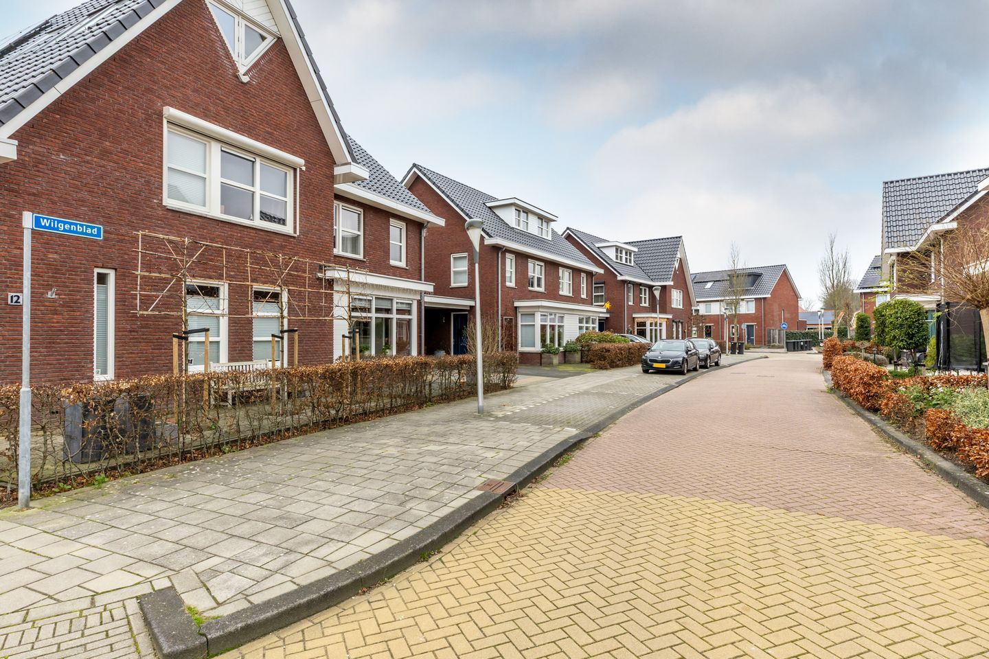 Foto 5 van Wilgenblad 10