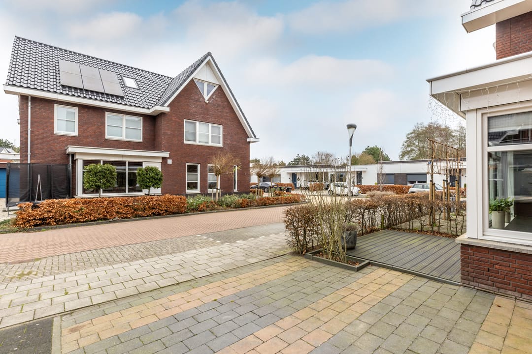 Foto 8 van Wilgenblad 10