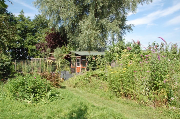 Photo 36 of Kaaidijk 11