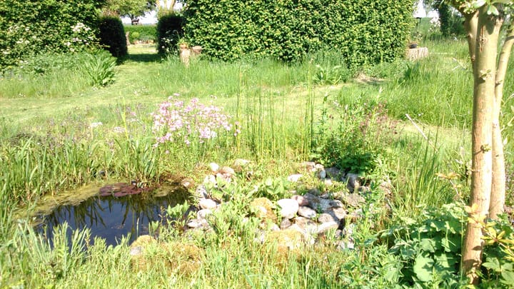 Photo 40 of Kaaidijk 11