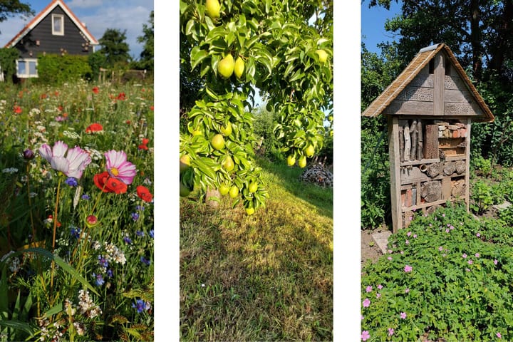 Photo 42 of Kaaidijk 11