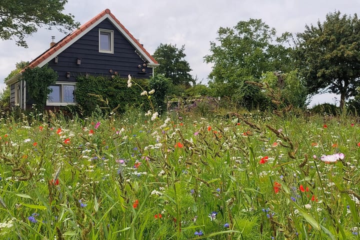 Photo 44 of Kaaidijk 11