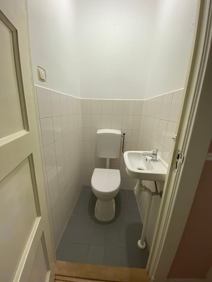 Foto 12 van Newtonstraat 12-1