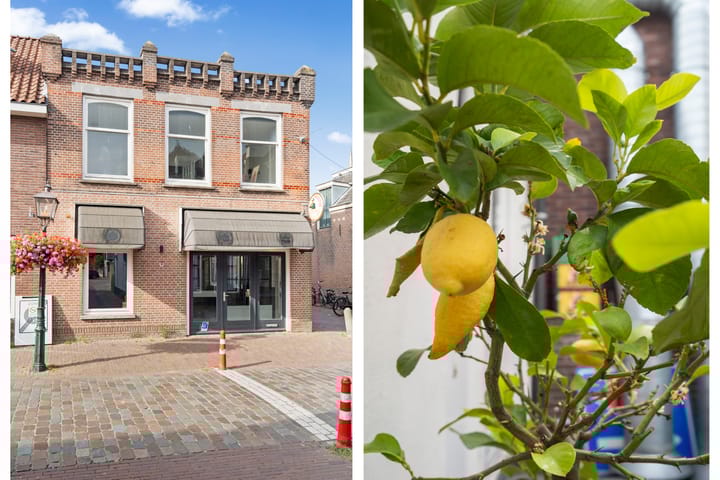 Foto 10 van Koningshof 17