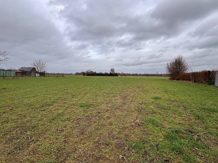 Foto 3 van Houtstraat