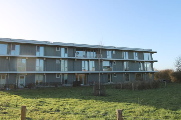 Foto 2 van Paardenbloem 10