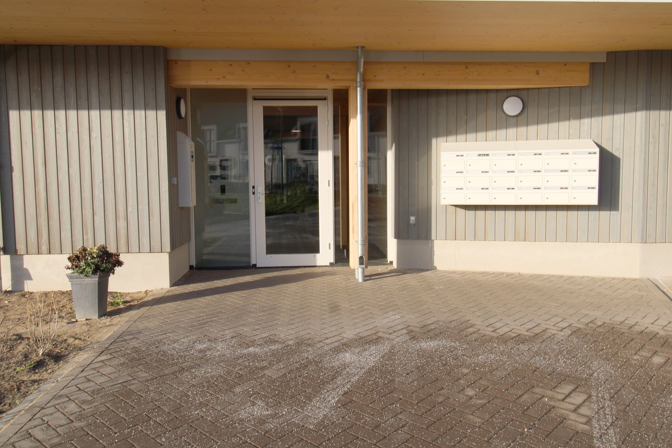 Foto 3 van Paardenbloem 10