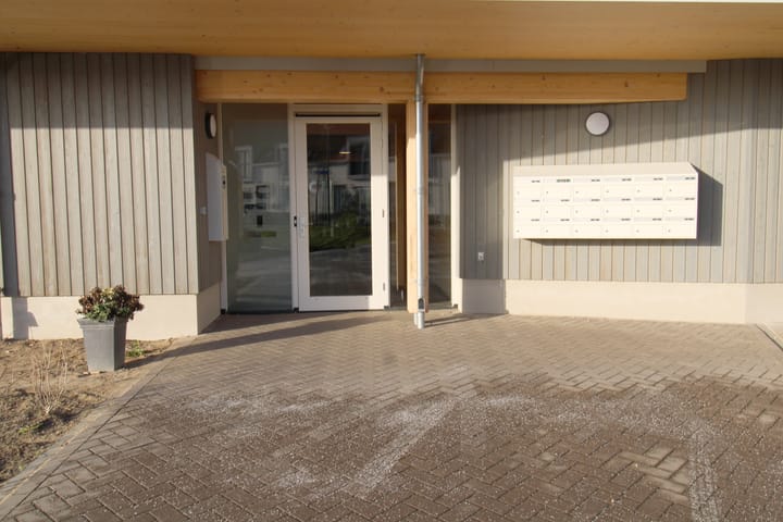 Foto 3 van Paardenbloem 10