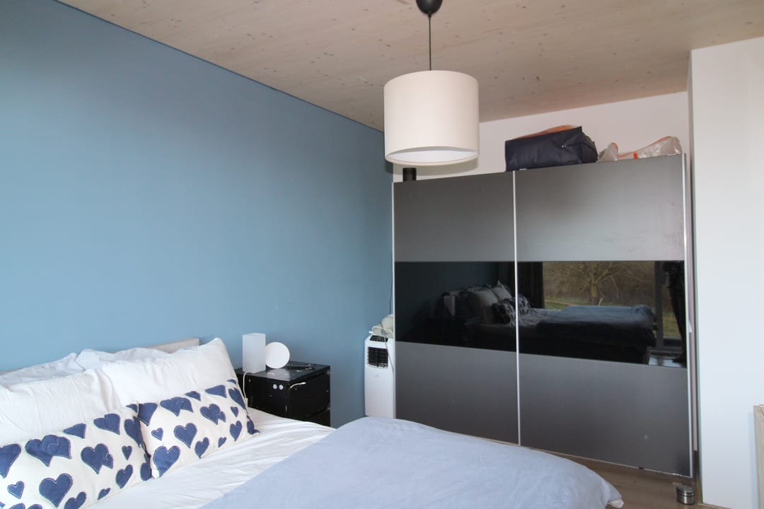 Foto 7 van Paardenbloem 10