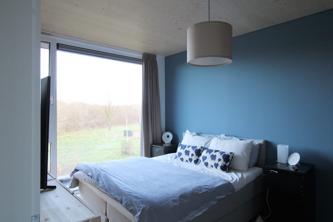 Foto 8 van Paardenbloem 10