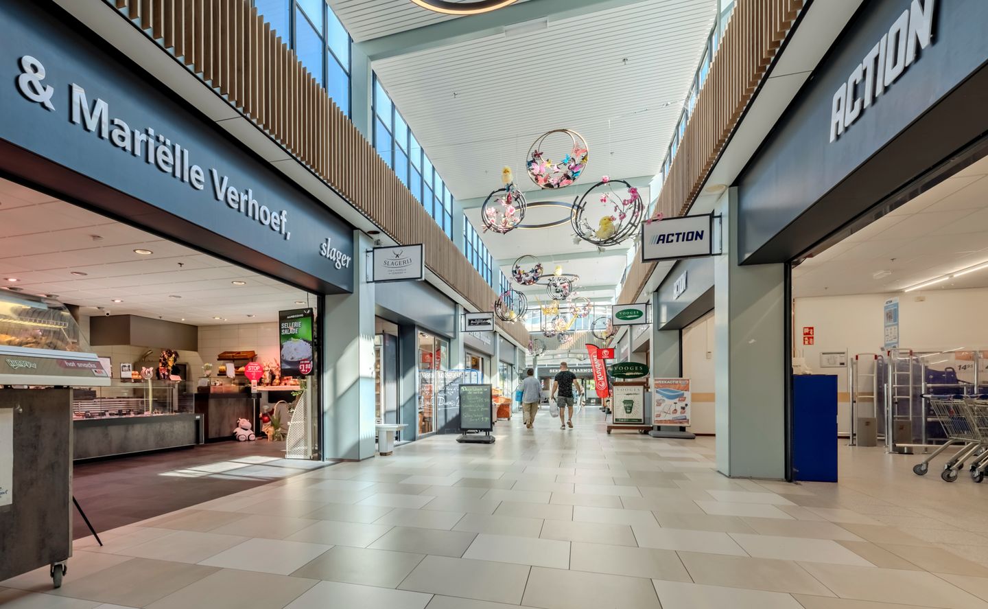 Foto 20 van Orion 55