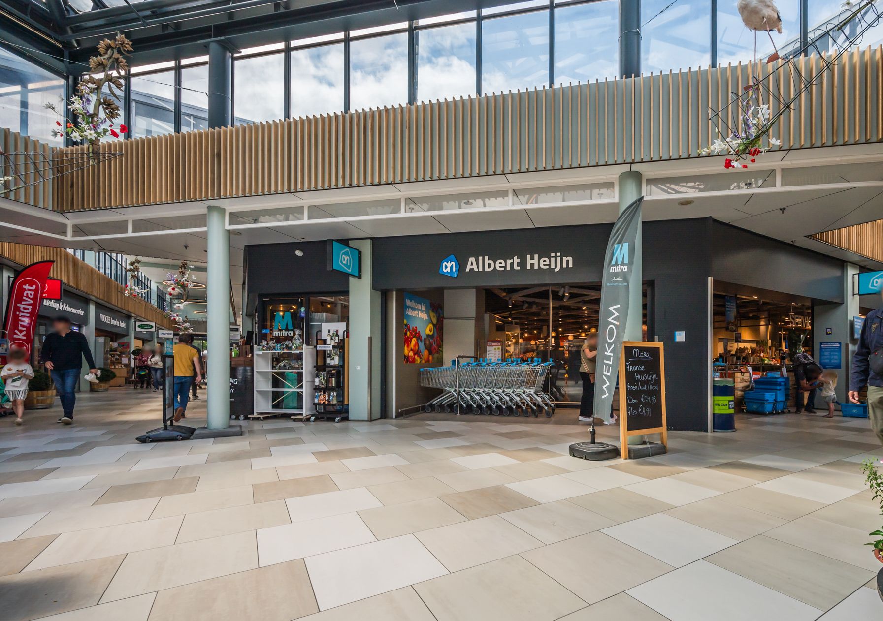 Foto 21 van Orion 55