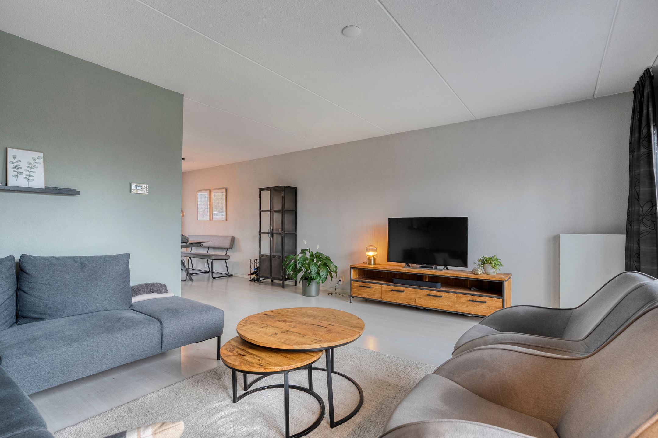 Foto 3 van Roerdomp 8