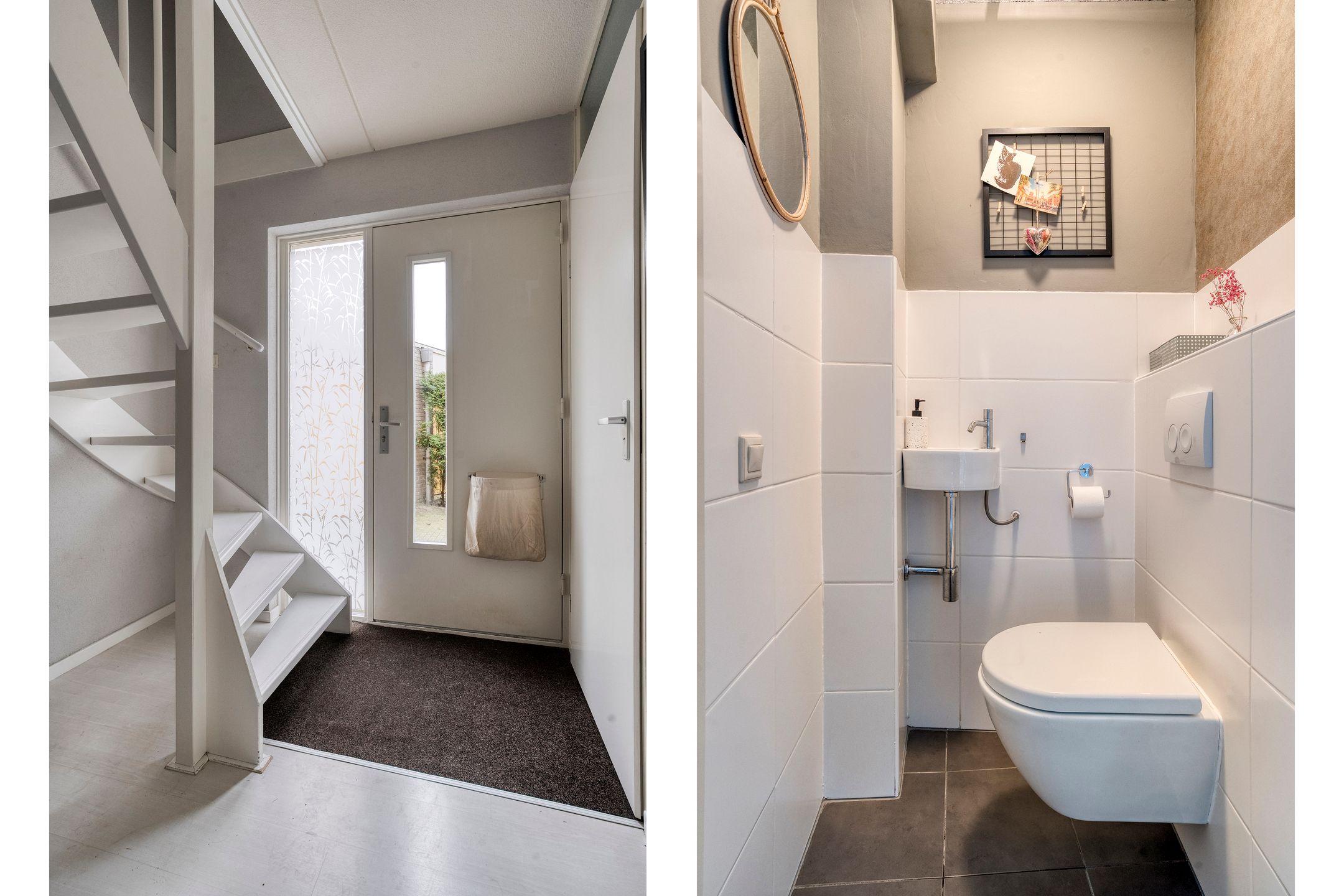 Foto 12 van Roerdomp 8