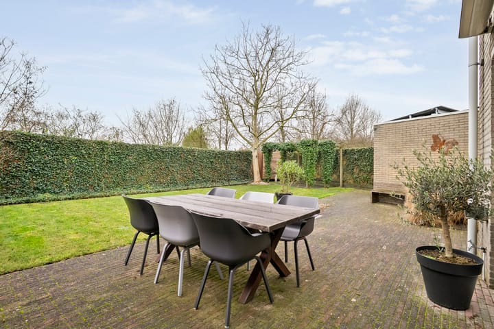 Photo 29 of Roerdomp 8