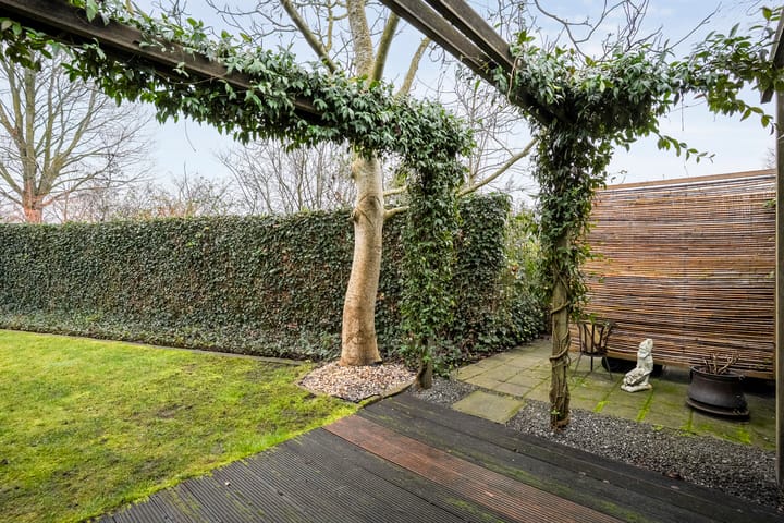 Photo 34 of Roerdomp 8