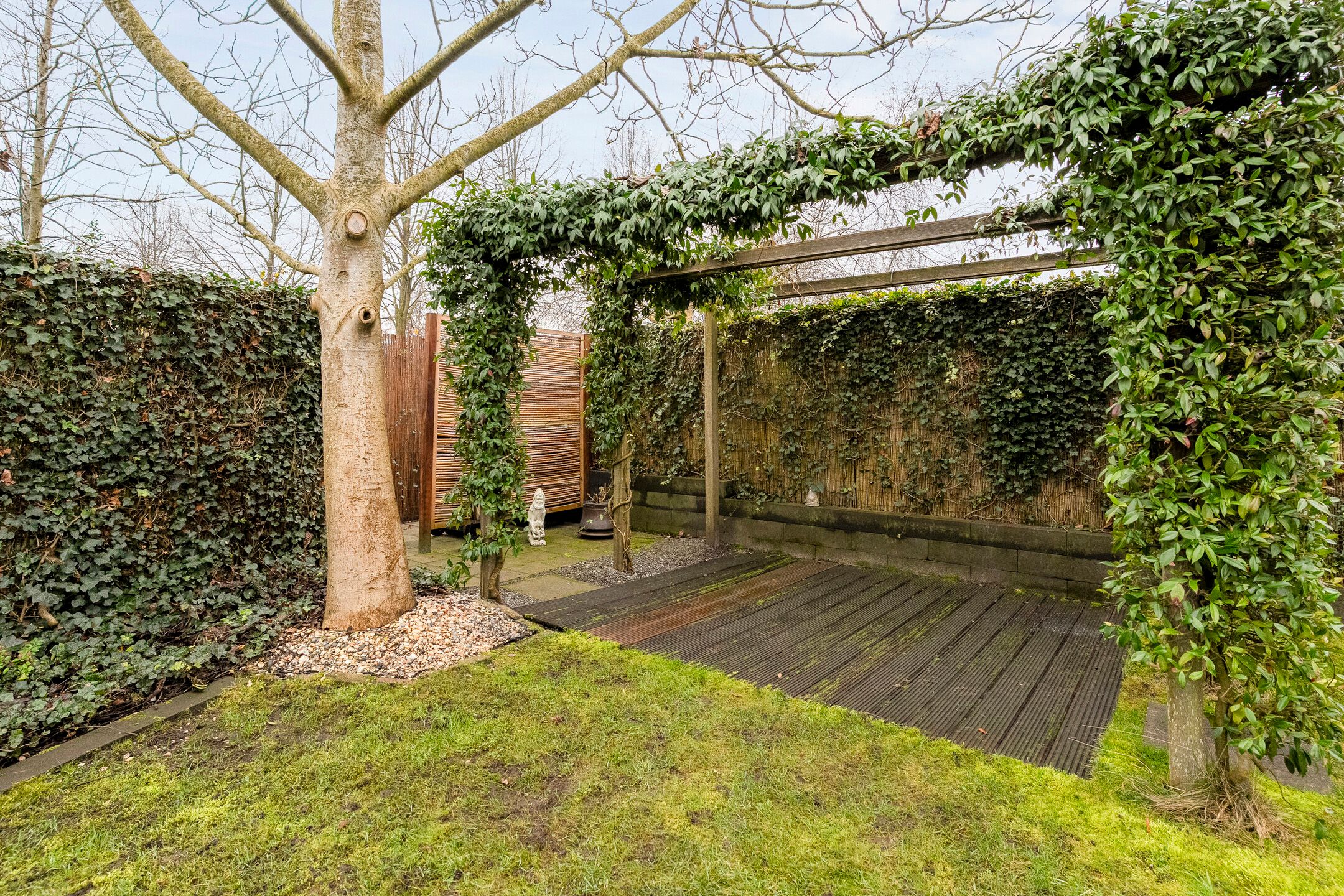 Foto 33 van Roerdomp 8