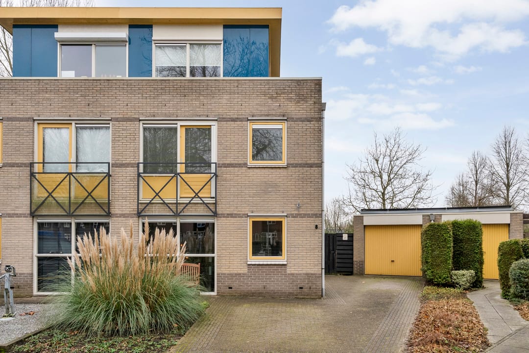 Foto 37 van Roerdomp 8