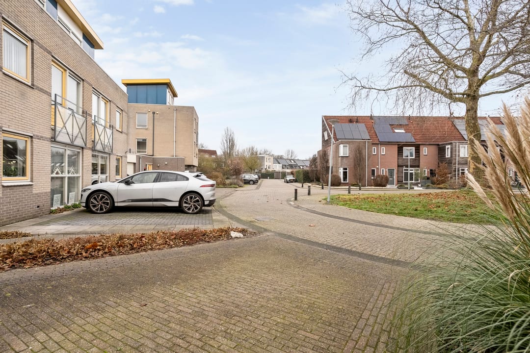 Foto 38 van Roerdomp 8