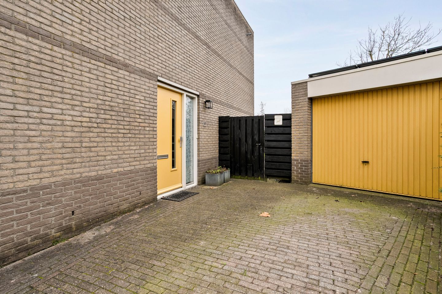 Foto 40 van Roerdomp 8