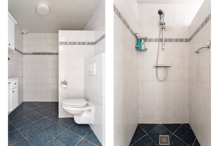 Photo 21 of Akelei 25