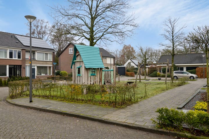 Photo 34 of Akelei 25