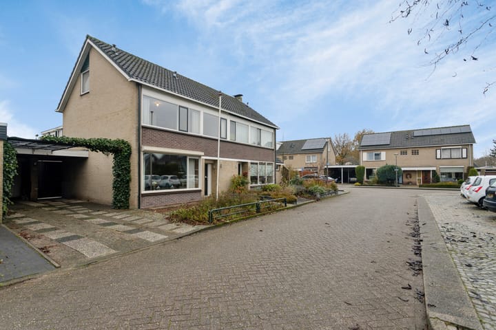 Photo 35 of Akelei 25