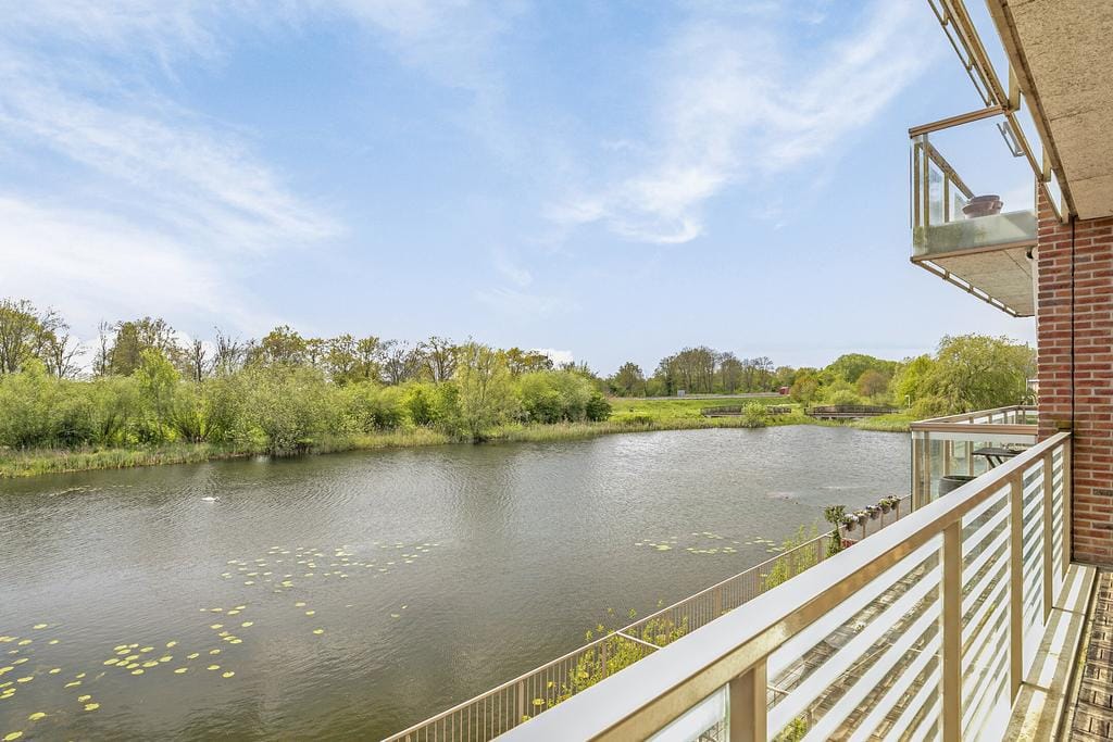 Foto 11 van Edelinckstraat 58