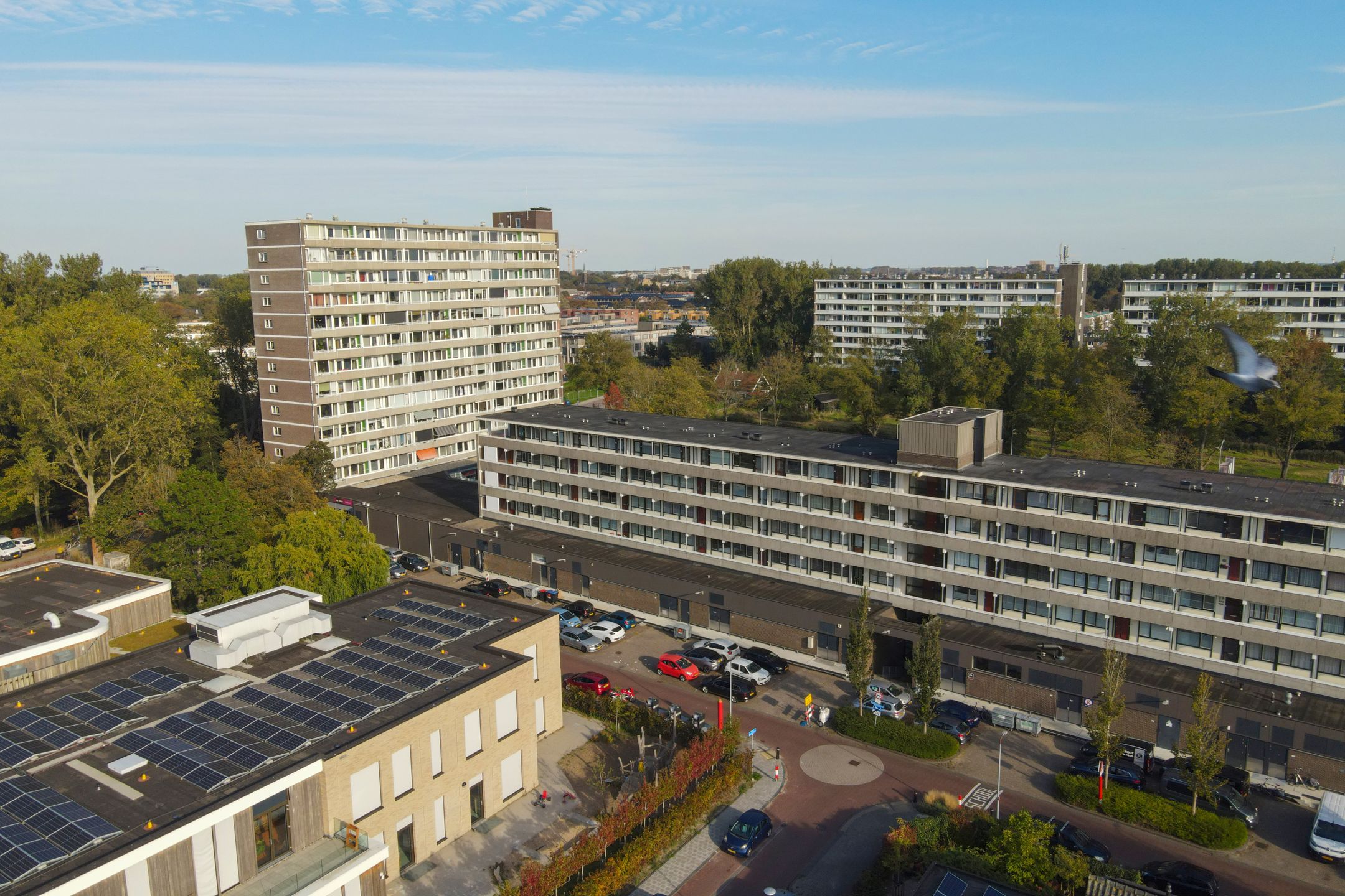 Photo 21 of Van Ostadelaan 304