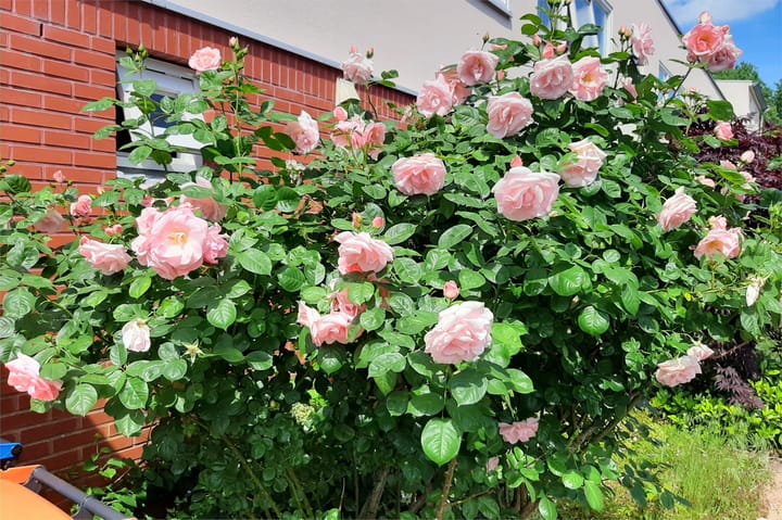 Foto 4 van Niels Bohrpad 9