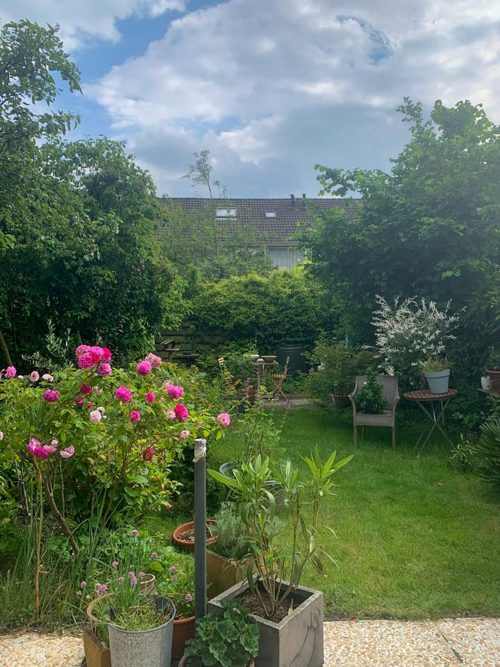 Foto 12 van Ganzewater 47