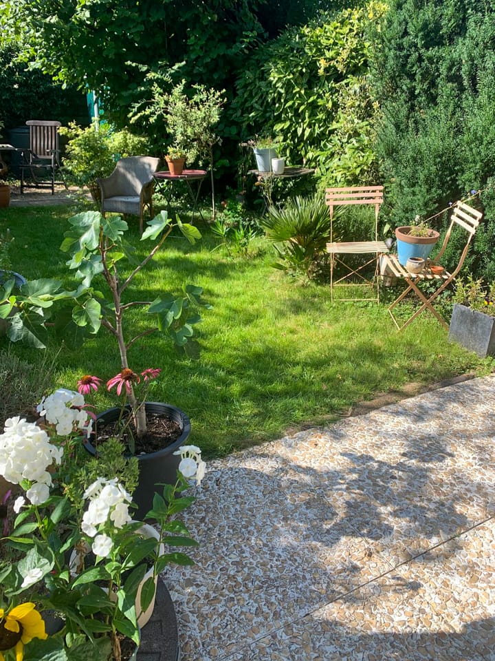 Foto 14 van Ganzewater 47