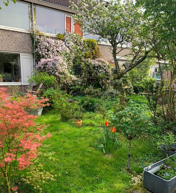 Foto 39 van Ganzewater 47