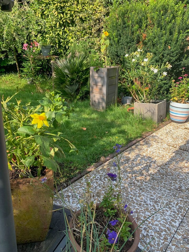 Foto 41 van Ganzewater 47