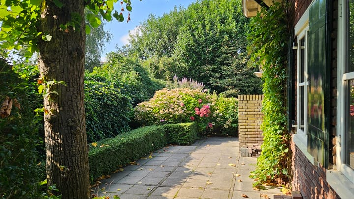 Photo 47 of De Mars 11-B