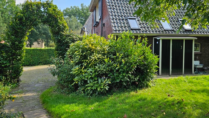 Photo 48 of De Mars 11-B