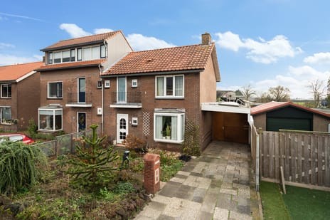 undefined main image